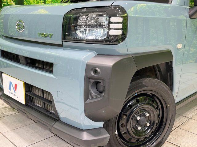 タフト（新潟県長岡市）画像12