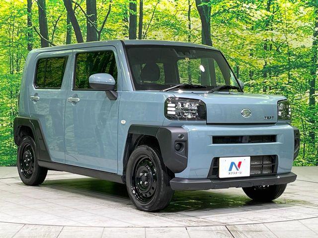 タフト（新潟県長岡市）画像16