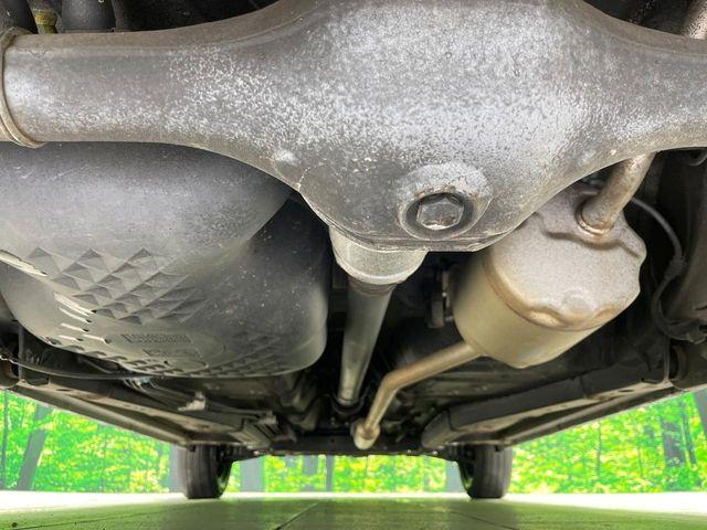 タフト（新潟県長岡市）画像19