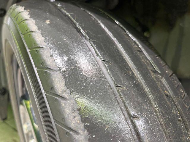 タフト（新潟県長岡市）画像22