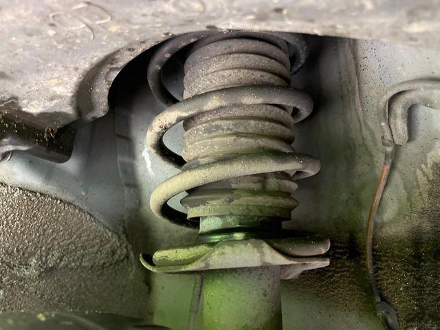 タフト（新潟県長岡市）画像23