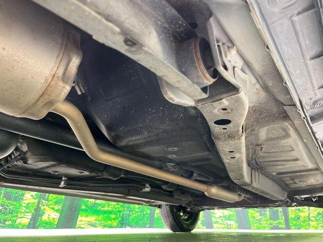 タフト（新潟県長岡市）画像29