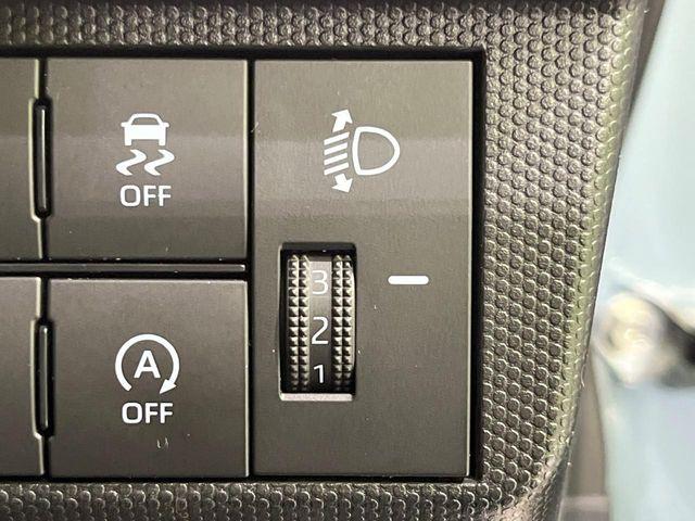 タフト（新潟県長岡市）画像41