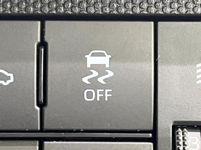 タフト（新潟県長岡市）画像43