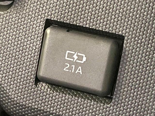 タフト（新潟県長岡市）画像55