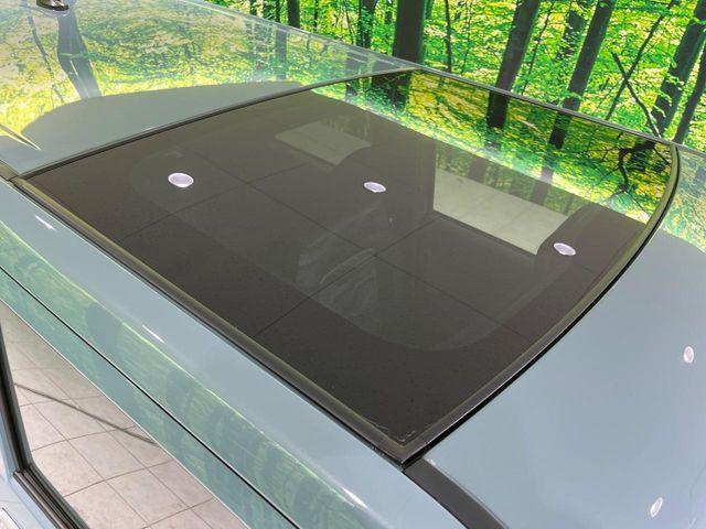 タフト（新潟県長岡市）画像60