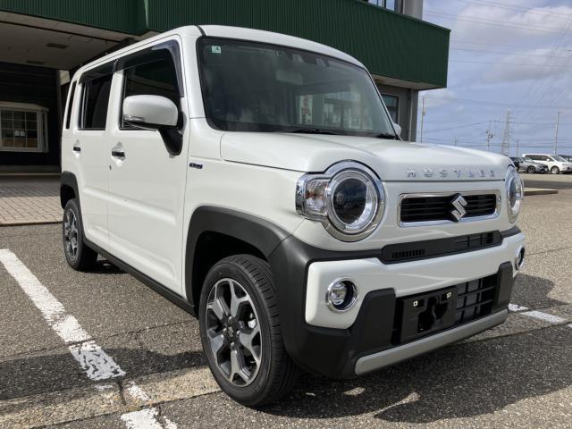 ハスラー（新潟県新潟市西蒲区）画像13