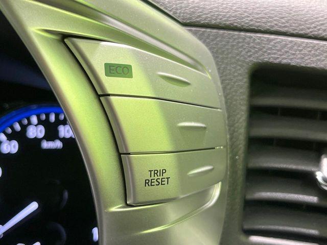 エルグランド(新潟県長岡市)