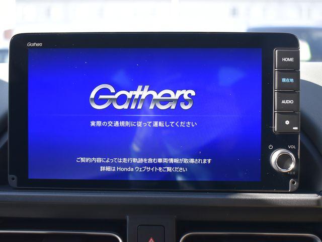 フリード(新潟県上越市)