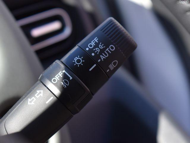 フリード(新潟県上越市)