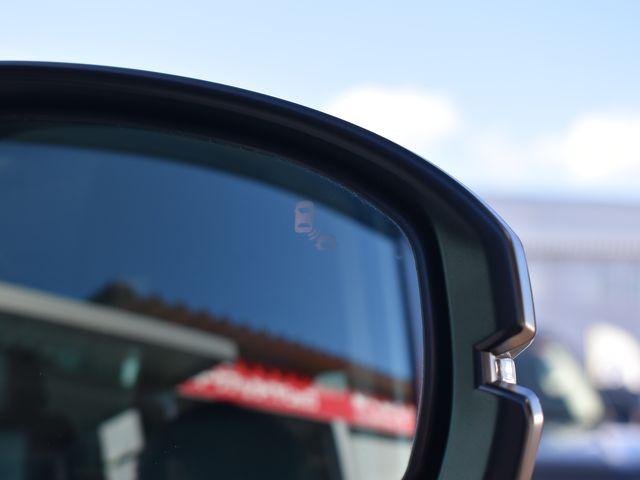 フリード(新潟県上越市)