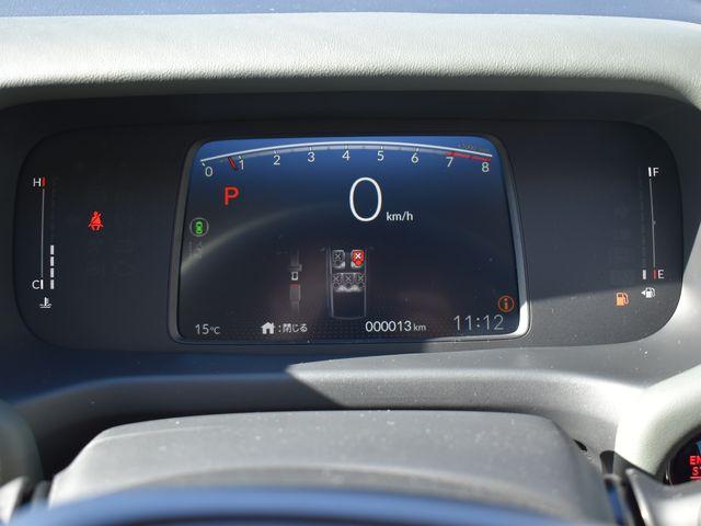 フリード(新潟県上越市)