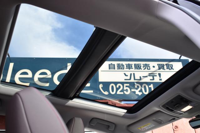 レクサスＲＸ（新潟県新潟市西区）画像32