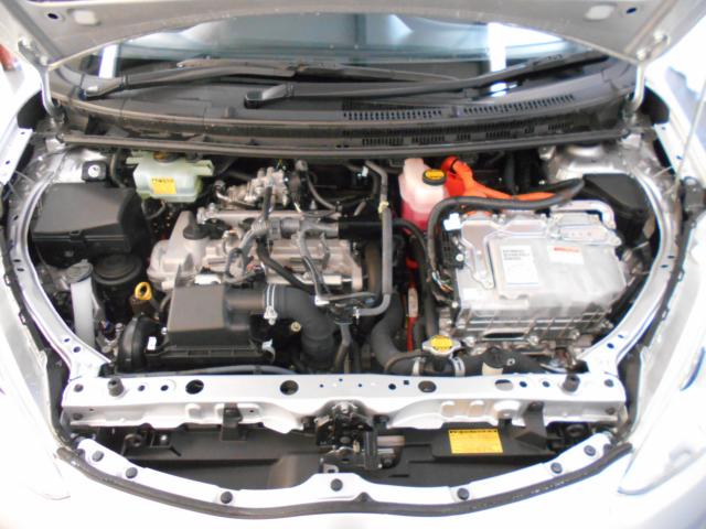 アクア（新潟県新潟市南区）