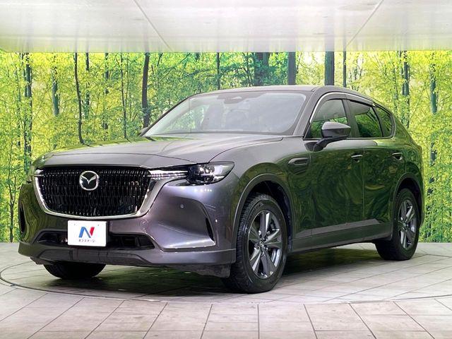 CX-60（新潟県新潟市東区）画像25