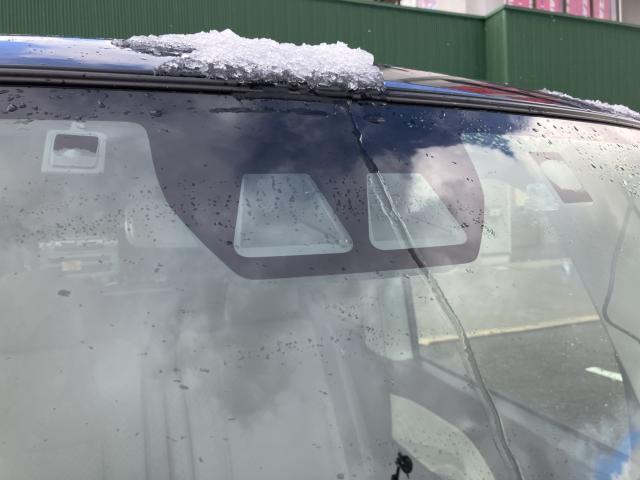 タント（新潟県新潟市西蒲区）