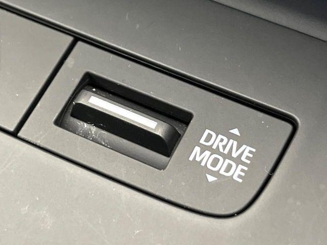 ハリアー（新潟県新潟市南区）