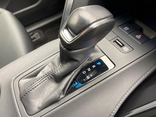 ハリアー（新潟県新潟市南区）