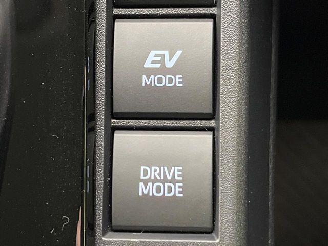 シエンタ(新潟県新潟市南区)