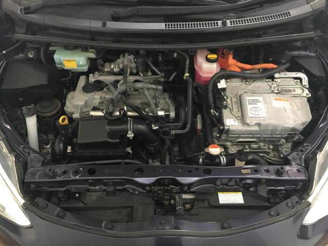 アクア(新潟県新潟市西区)