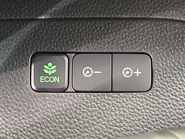 N_BOXカスタム(新潟県新潟市南区)