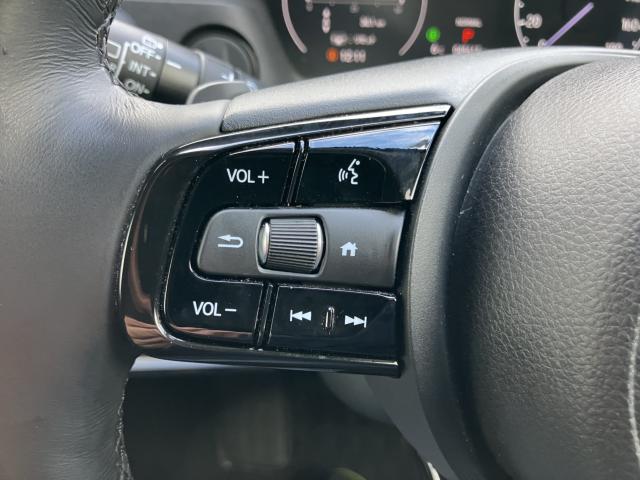 ヴェゼル(新潟県長岡市)