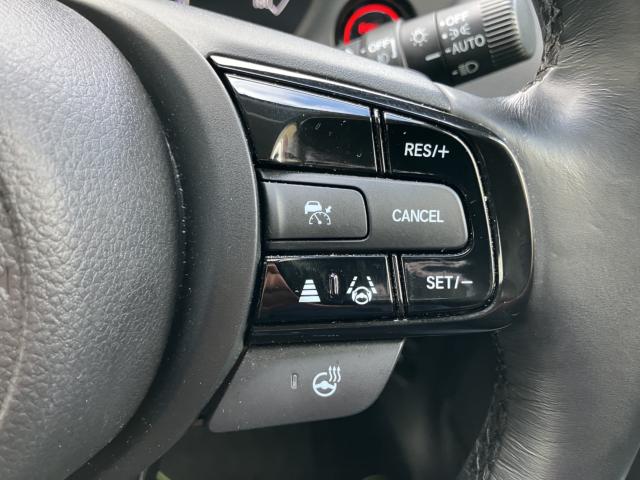 ヴェゼル(新潟県長岡市)