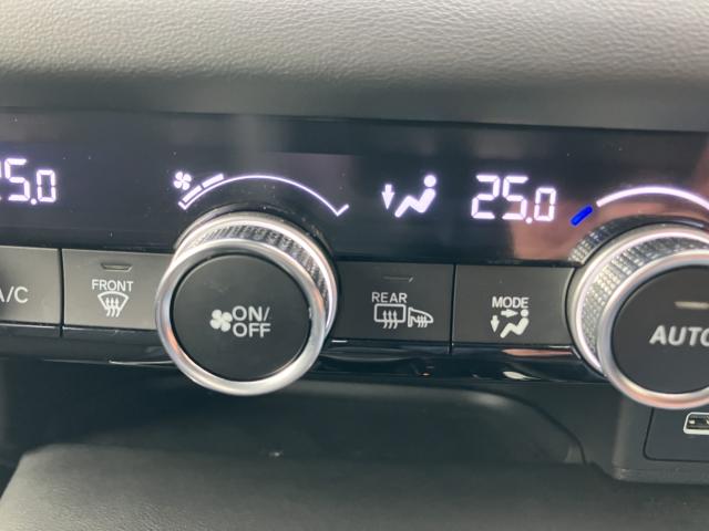 ヴェゼル(新潟県長岡市)