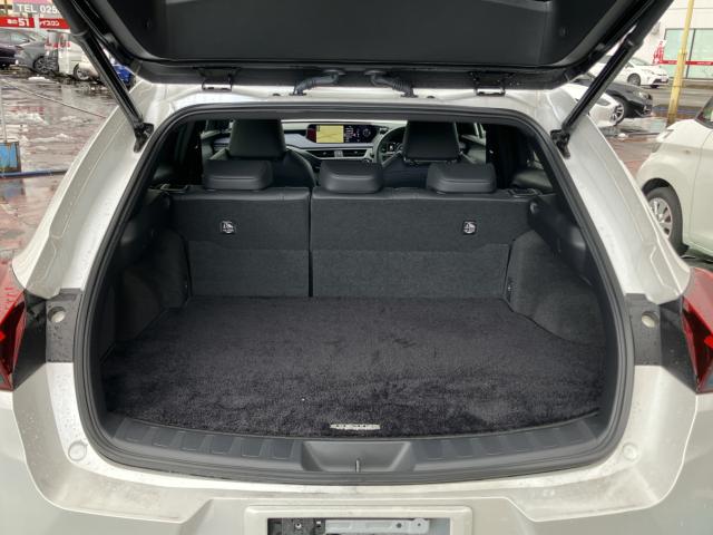 レクサスUX(新潟県長岡市)