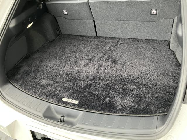 レクサスUX(新潟県長岡市)