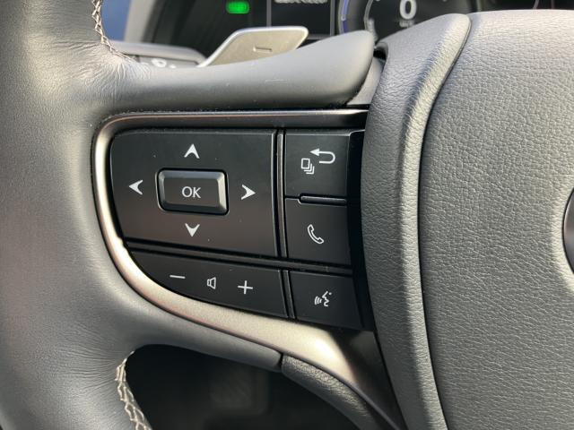 レクサスUX(新潟県長岡市)