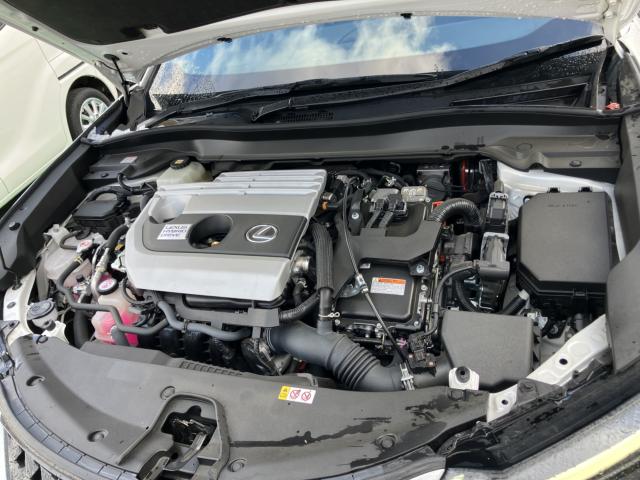 レクサスUX(新潟県長岡市)