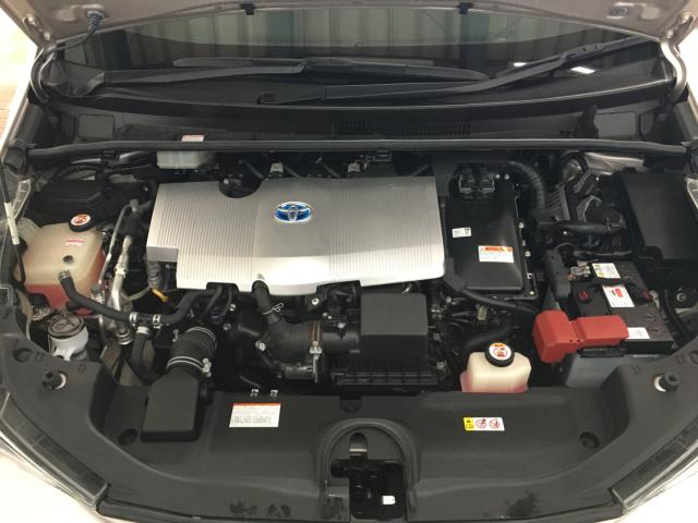 プリウス(新潟県新潟市西区)