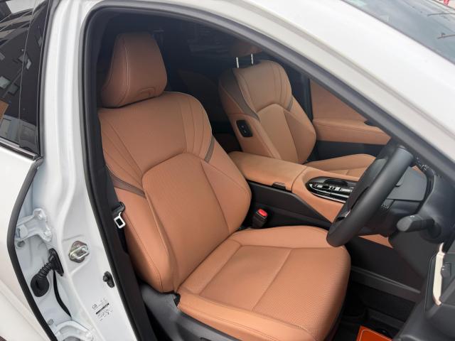 クラウンスポーツ(新潟県新潟市江南区)