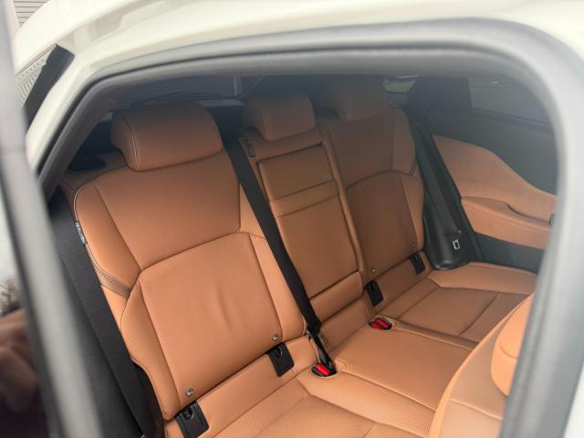 クラウンスポーツ(新潟県新潟市江南区)