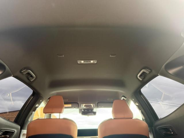 クラウンスポーツ(新潟県新潟市江南区)