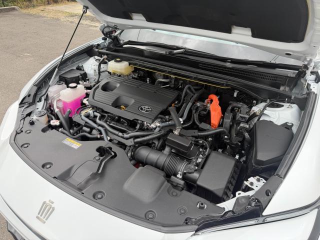 クラウンスポーツ(新潟県新潟市江南区)