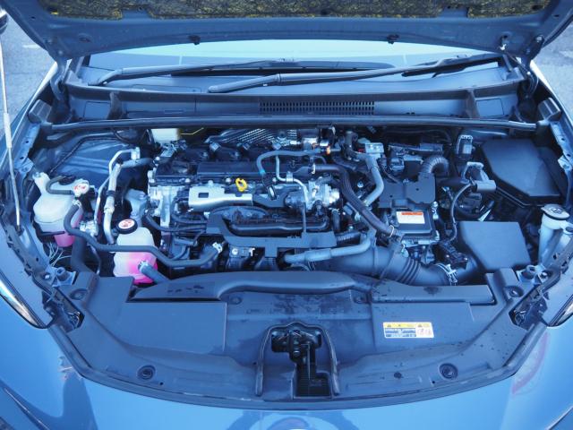 プリウス(新潟県新潟市西区)