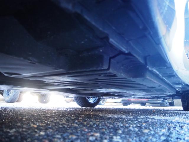 プリウス(新潟県新潟市西区)