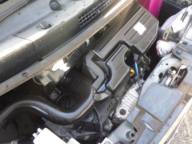 タント(新潟県新潟市中央区)