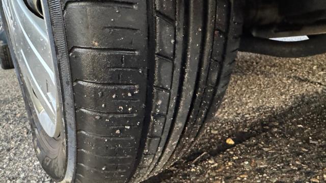 ライフ(新潟県長岡市)