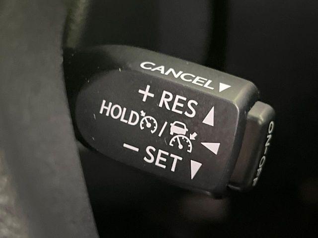 アルファード(新潟県長岡市)