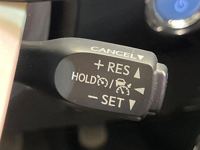 プリウス(新潟県新潟市南区)