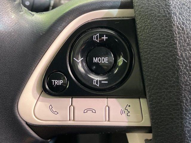 プリウス(新潟県新潟市南区)