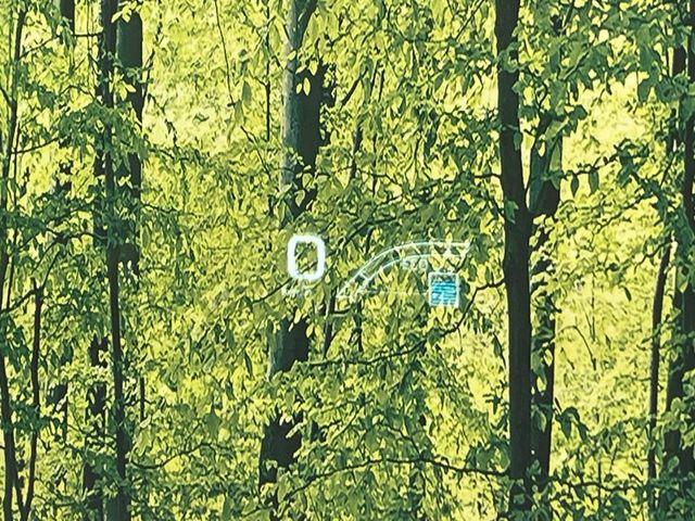 プリウス（新潟県新潟市南区）画像7