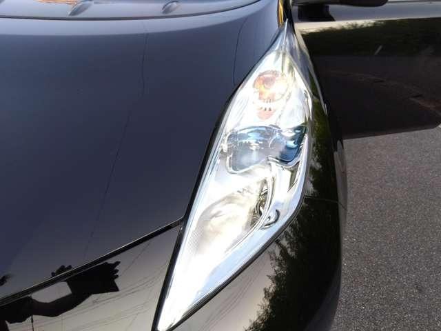 リーフ(新潟県新潟市西区)