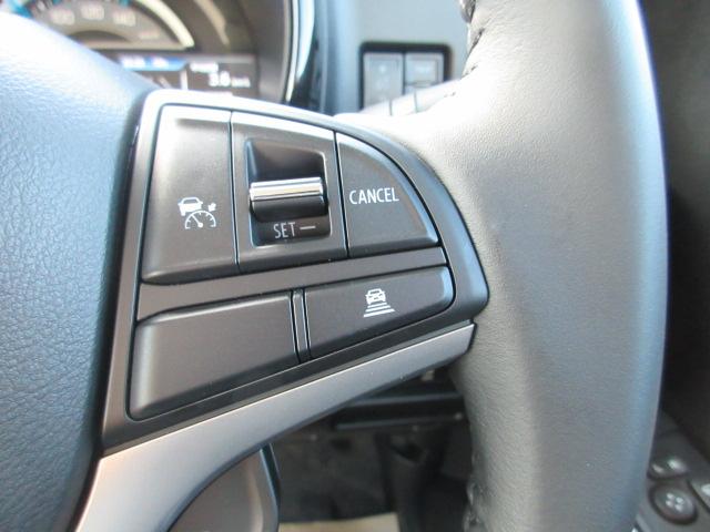 ハスラー(新潟県柏崎市)