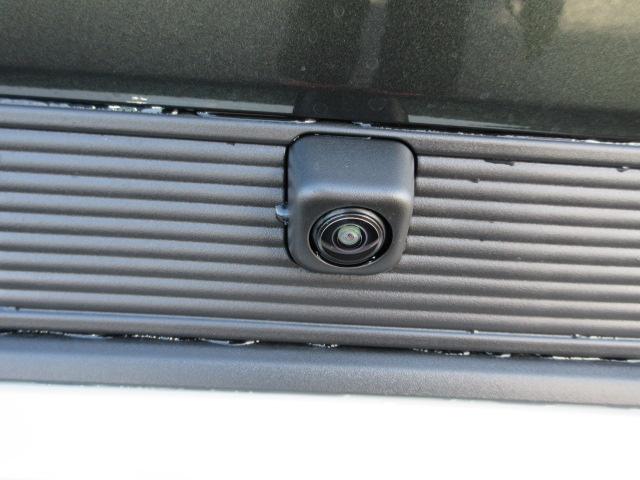 ハスラー(新潟県柏崎市)