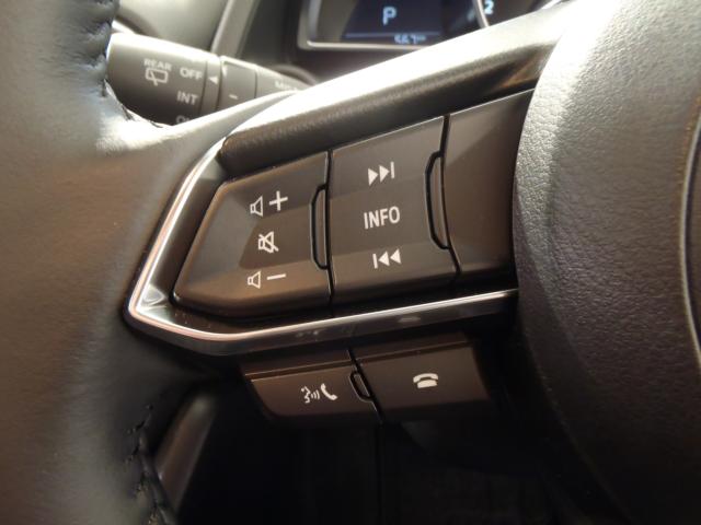 MAZDA2(新潟県新発田市)