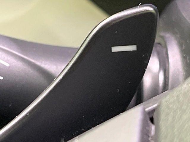 イグニス(新潟県長岡市)